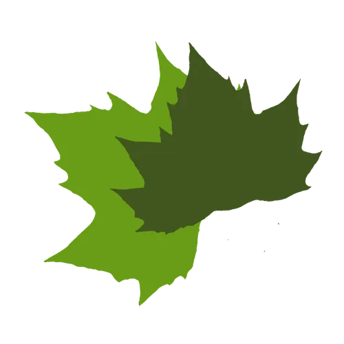 dbwebb logo